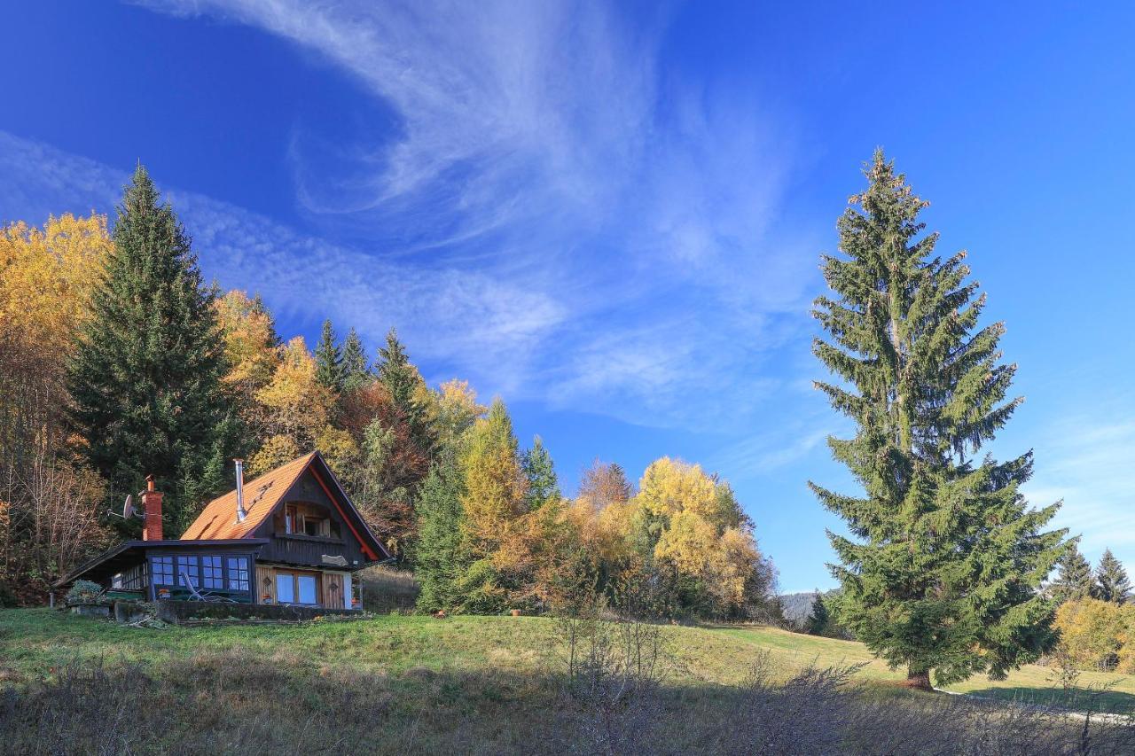 Fairytale Cottage - Peaceful Getaway Near Bled Zgornje Gorje Extérieur photo