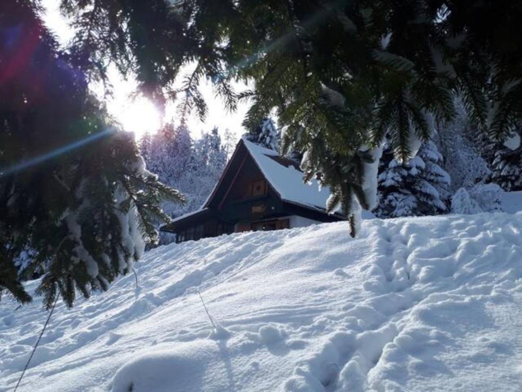Fairytale Cottage - Peaceful Getaway Near Bled Zgornje Gorje Extérieur photo